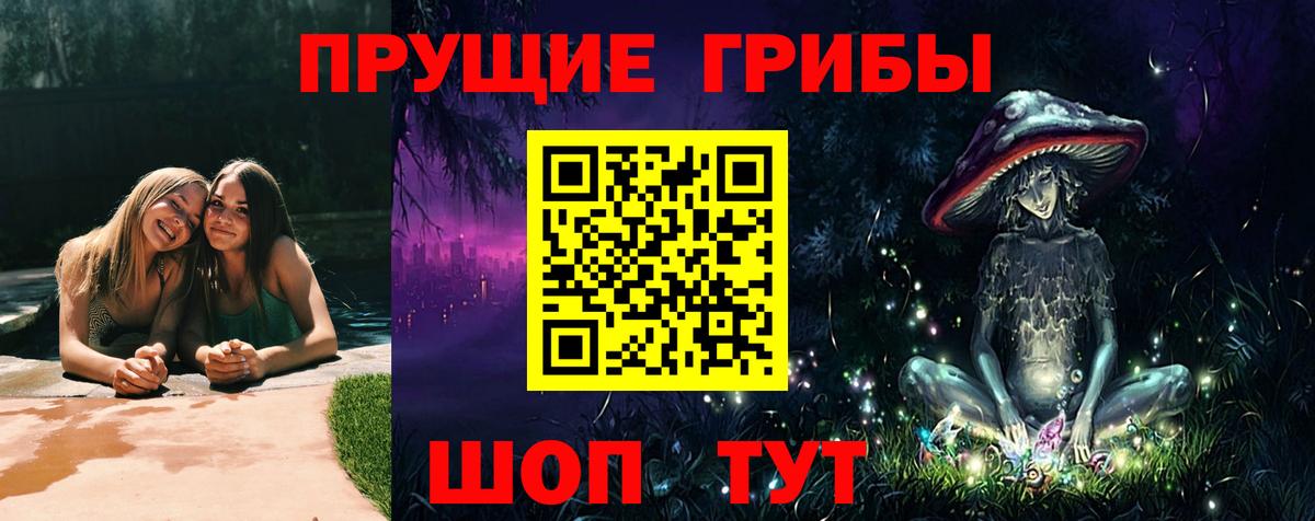 Галлюциногенные грибы Psilocybine cubensis Дюртюли
